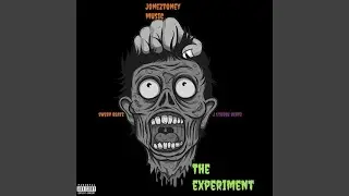 The Experiment