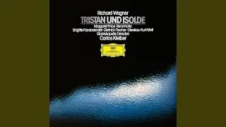 Wagner: Tristan und Isolde, Act III: Kurwenal! Hör!