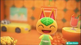 Tangy's A Vivid Virarium 🍊🍋🍒 Animal Crossing New Horizons - Happy Home Paradise