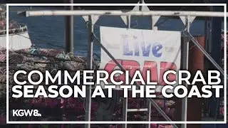 Commercial crab season kicks off next week at the Oregon Coast