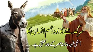 Insani Jism aur sar gadhay ka | Body like a human and head like a donkey