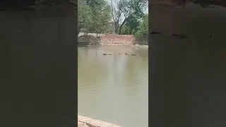 #moj#punjabi