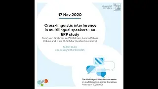 von Grebmer zu Wolfsthurn: Cross-linguistic interference in multilingual speakers-an ERP study