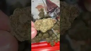Lit Farms Blue Zkittlez Essentials
