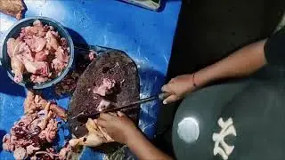 Boiler chicken cutting