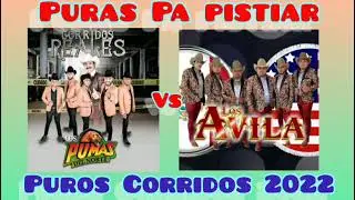 Los Ávila Mix - Los Pumas Mix - Puras Pa Tomar 2023 @LOSPUMASDELNORTECANALOFICIAL  @LosAvilaMx