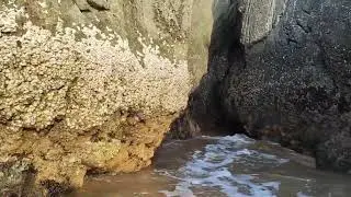 Secret lagoon, South Goa