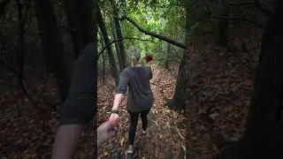 Boone Fork Trail