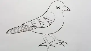 Sparrow drawing tutorial!! pencil drawing!! how to draw sparrow easy!! Art!! Bird drawing tutorial