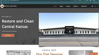 Restore and Clean Online Audit | Peterson SEO