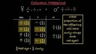 Introduction to Column Mapping