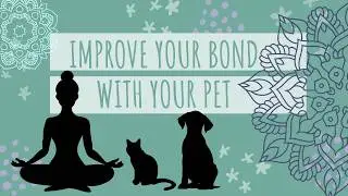 Guided Visualization to Improve Relationship with your Dog or Cat