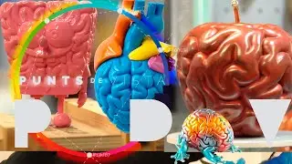 Qu&egrave; son els 'art toy'? | Punts de Vista | RTVE Catalunya