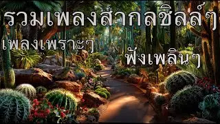 KissVibe Studio &ndash; Midnight Cozy Pop 🌙 เพลงสากลโทนละมุน ฟังเพลินทุกคืน | Sleepy Pop Session