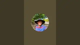 CANAL DO VALE CEARÁ  está ao vivo!