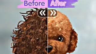 ASMR | How to clean dirty Dog |Worm & Maggot Removal | Deep Cleaning Animation