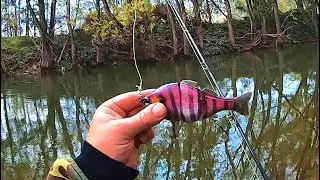 Murray cod fishing late in May