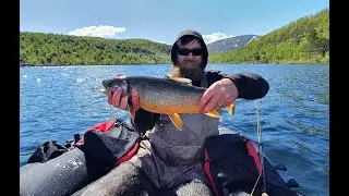 FISKE FRÅN FLYTRING - Jakten på sommarrödingen