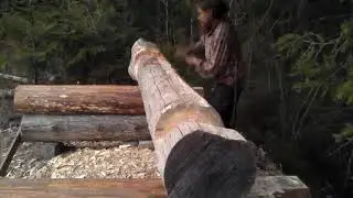The basics of traditional log building