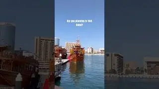 Why you should never visit Old Dubai!!