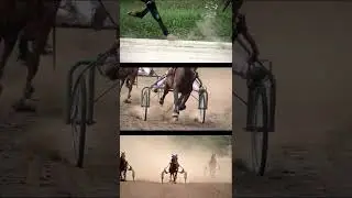 Horse Racing