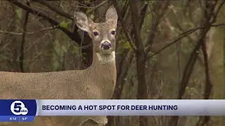 Could Ashtabula Co. become the most popular county for deer hunting this year?
