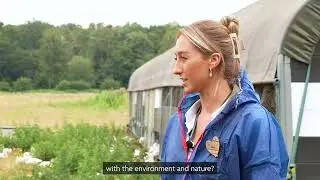 Morrisons Free Range Chickens - Norfolk