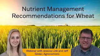 Webinar: Nutrient Management Recommendations for Wheat