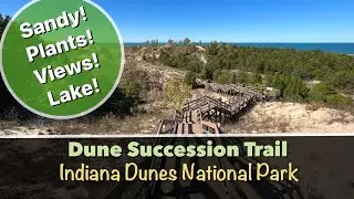 Hiking the Dunes Succession Trail at Indiana Dunes National Park