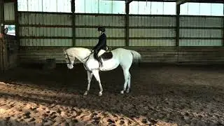 2019 Quarter Pony World Show 2019 English Equitation 17 & Under
