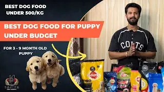 BEST PUPPY FOOD from 3 months to 9 months // BUDGET DOG FOOD under 500 rs per kg