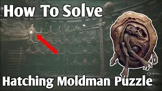 SCORN: How To Solve The Hatching Moldman Puzzle In Act 1