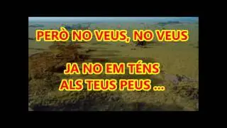 KARAOKE CROSSING PAREM EL TEMPS