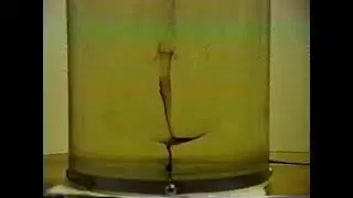 Vortex Breakdown