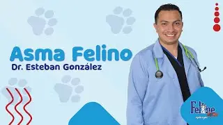 Asma felino - Dr. Esteban González / Feline Doctor