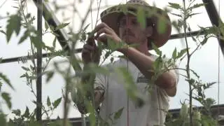 Dan Bio