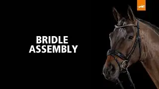 Bridle assembly EN