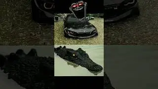 wait for BMW other cars vs BMW #car #carlover #trending #viral #shorts #youtubeshorts #bmw #car