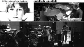 3   An cat dubh:Into the heart U2 cover by Lemon Chile BOY live