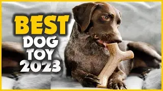 Top 10 Best Dog Toys of 2023- Reviews & Top Picks!