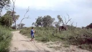 Man getting chased by an elephant