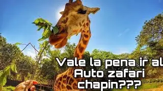 Guatemala: AUTO ZAFARI CHAPIN un lugar para peque&ntilde;os y grandes &iquest;ya lo conoces?