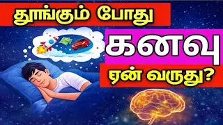 Why do dreams occur? | Brain Science Facts Tamil
