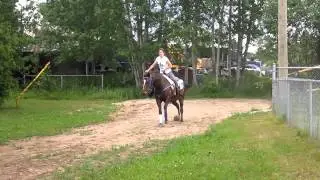 D&eacute;part au galop !
