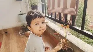 2 year old child playing independently#baby #alone #viral #trending #vlog #plants #babyplaying 