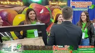 MANGO MADURO. THE GARMI FARMS   - THE GLOBAL PRODUCE AND FLORAL SHOW 2024
