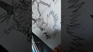 How to Draw Stickman with (Eagle&Snake)...#art #fyp #tutorial #stickman #drawing