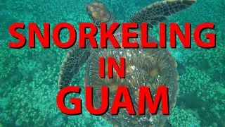 Best Snorkeling in Guam - 2 Turtles!