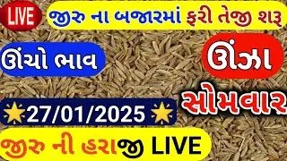 Jeera na bhav | 27-01-2025 | જીરું ના ભાવ:2025 | live cumin trading in  APMC | commodity Trend