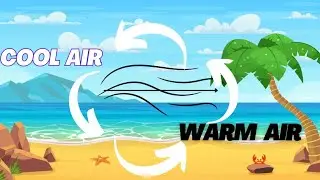 Land Breeze and Sea Breeze | What are Land Breeze and Sea Breeze- Result of Differential Heating